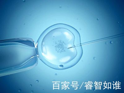 陈副主任医师